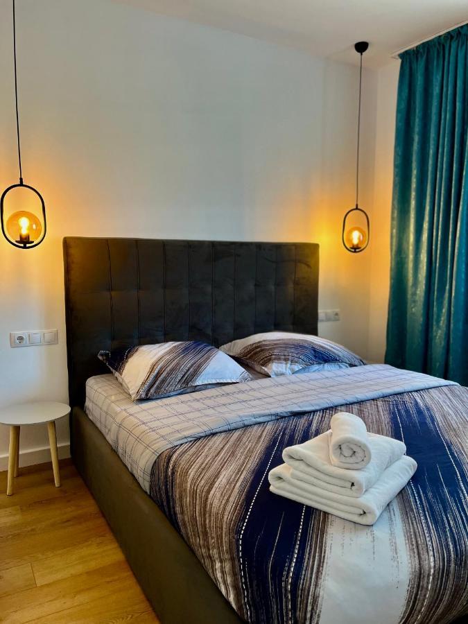 Alexander Cozy Apartment Free Private Parking Mediaş エクステリア 写真