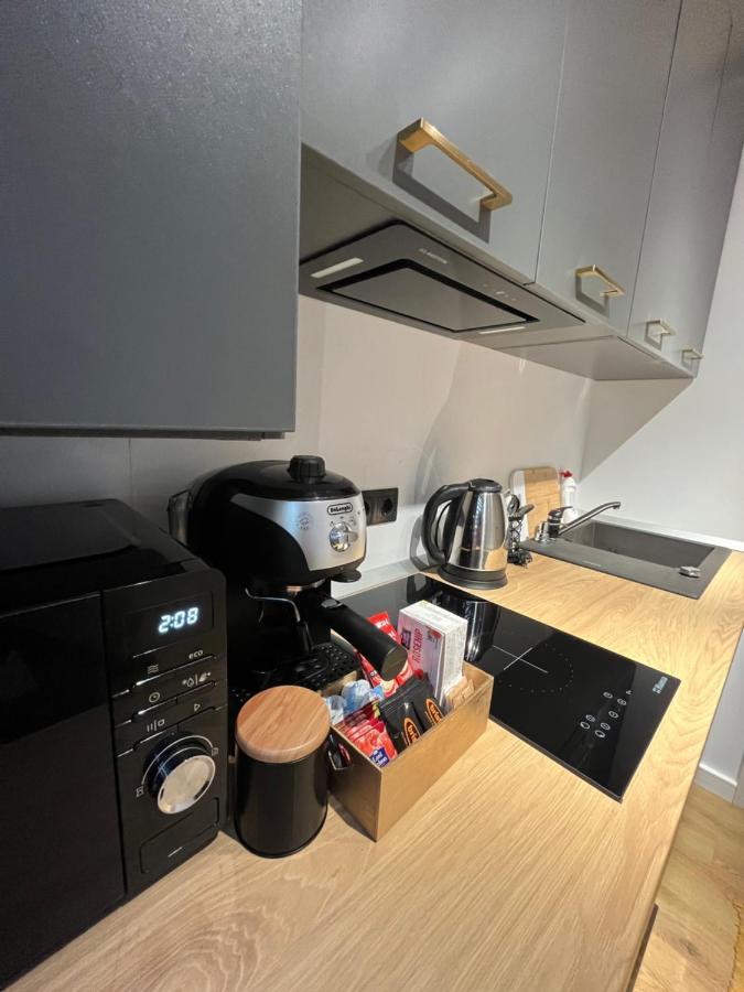 Alexander Cozy Apartment Free Private Parking Mediaş エクステリア 写真